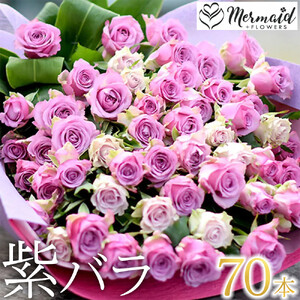 紫バラ70本【 薔薇  バラ 花 】