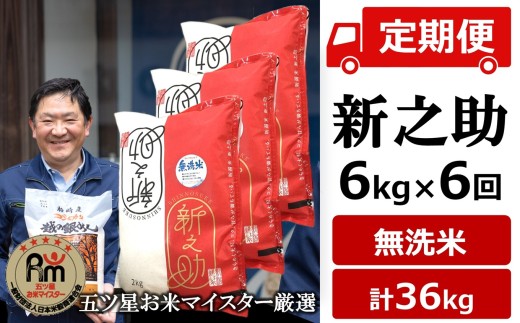 令和8年産新米【五ツ星お米マイスター厳選の定期便・6ヶ月定期便】新潟 新之助 無洗米 6kg（2kg×3袋）×6回（計 36kg）[ZH657]