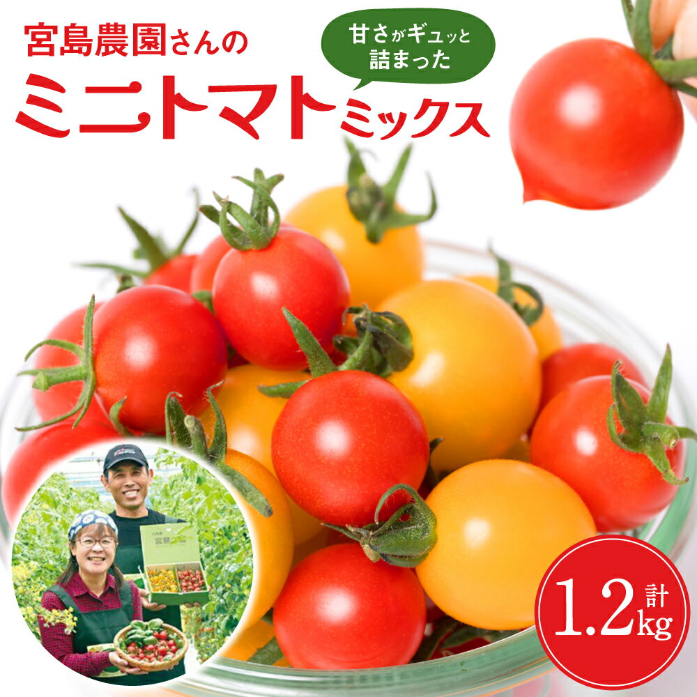 【ふるさと納税】八代市産 宮島農園 ミニトマト (ミックス)1.2kg とまと 野菜 赤トマト 黄色トマト 送料無料