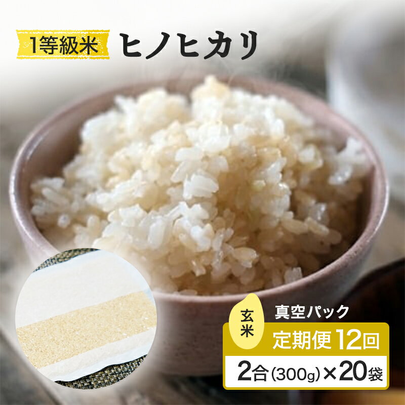 【ふるさと納税】定期便 12回 米 1等級米 一粒からこだわる 真空パック 玄米 ヒノヒカリ 2合（300g）×20袋 お米 コメ お楽しみ 12ヶ月 令和7年度産