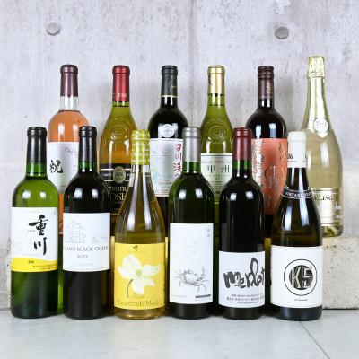 ふるさと納税 甲州市 【発送月固定定期便】プレミアムワイン定期便12本セット(KSB)G5-601全12回