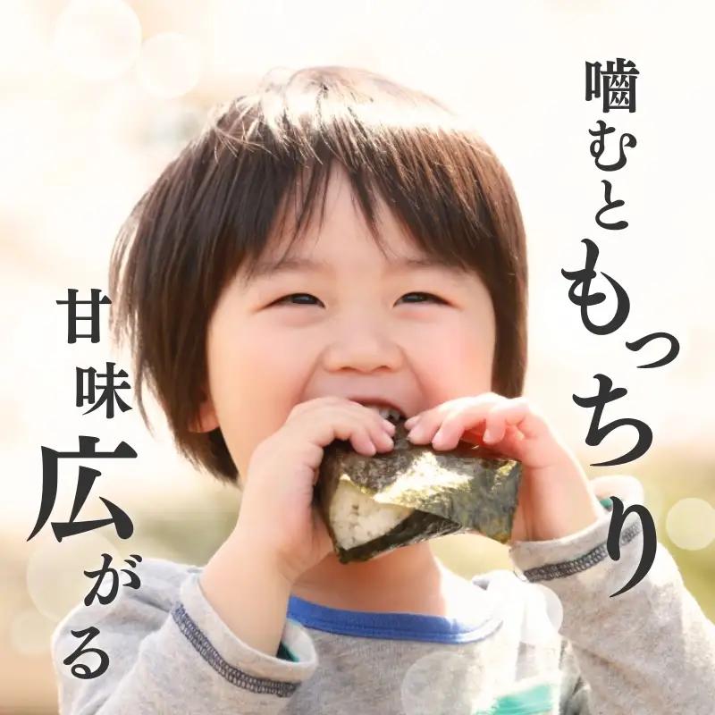 【3か月定期便】こしひかり 精米 上越産 こしひかり 3kg
