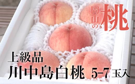 KF-A021-01【きよとうファーム】川中島白桃 上級品 5-7玉入 (岡山県産)