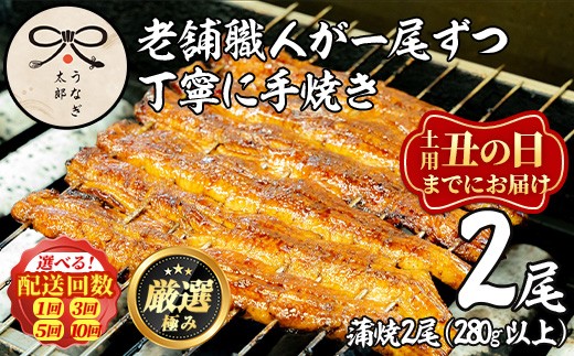 
                  鹿児島県産東串良町のうなぎ蒲焼・秘伝のタレ付き＜2尾・計280g以上/2尾・計280g以上×3回/2尾・計280g以上×5回/2尾・計280g以上×10回＞うなぎ 高級 ウナギ 鰻 国産 蒲焼 蒲焼き たれ 鹿児島【うなぎ太郎】
                