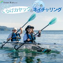 【ふるさと納税】Green Blue あつみ「クリアくらげカヤック＆ウミのネイチャリング」　シーカヤック体験