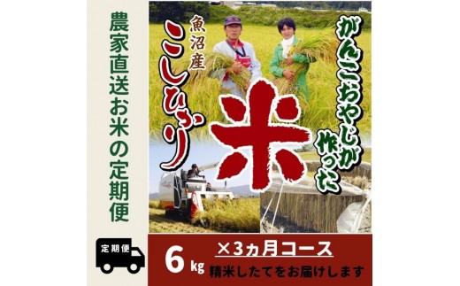 
                  【令和７年産】３か月定期便　がんこおやじが作った南魚沼産コシヒカリ白米６kg（３kg×２袋）【定期便 銘柄米 ブランド米 精米 こしひかり コシヒカリ 魚沼産 新潟米 産地直送 お米 米 こめ コメ ご飯 御飯 ごはん】
                