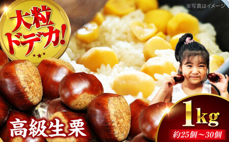 生栗 1kg【9月下旬から配送開始】 生栗 [AGAR004]