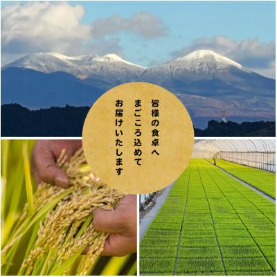 ふるさと納税 青森市 【先行予約受付】令和8年　青森県産まっしぐら　玄米30kg　彩北米 |  | 02