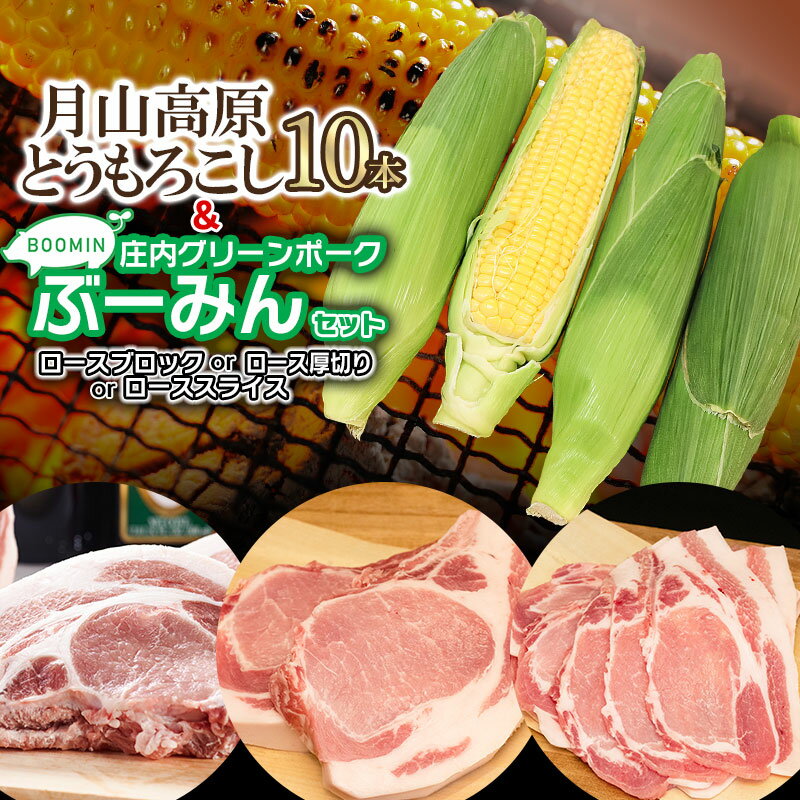 【ふるさと納税】【令和7年産先行予約】月山高原とうもろこし10本と庄内グリーンポーク“ぶーみん”セット（ロースブロック約500g・ロース厚切り約500g・ローススライス約250g×2P）3種から選べます 庄内豚 豚肉 肉バルYAKU禄 | 山形県 鶴岡市 返礼品 お取り寄せ 豚ロース