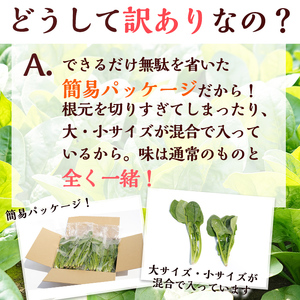 【定期便3回】【数量限定・訳あり】志布志湾ほうれん草(計3kg 1kg×3回) サラダ おひたし お味噌汁 スムージー ほうれん草 ジュース ほうれんそう t0021-003