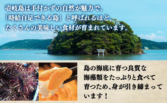 【全12回定期便】 極上 生うに うにめしの素 セット 《壱岐市》 うに ウニ 雲丹 うに飯 生うに [JZX017] 600000 600000円 60万円