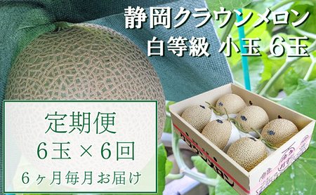 クラウンメロン 並(白等級) 小玉 静岡県産 クラウンメロン【1.1kg前後 6玉】【6か月定期便】