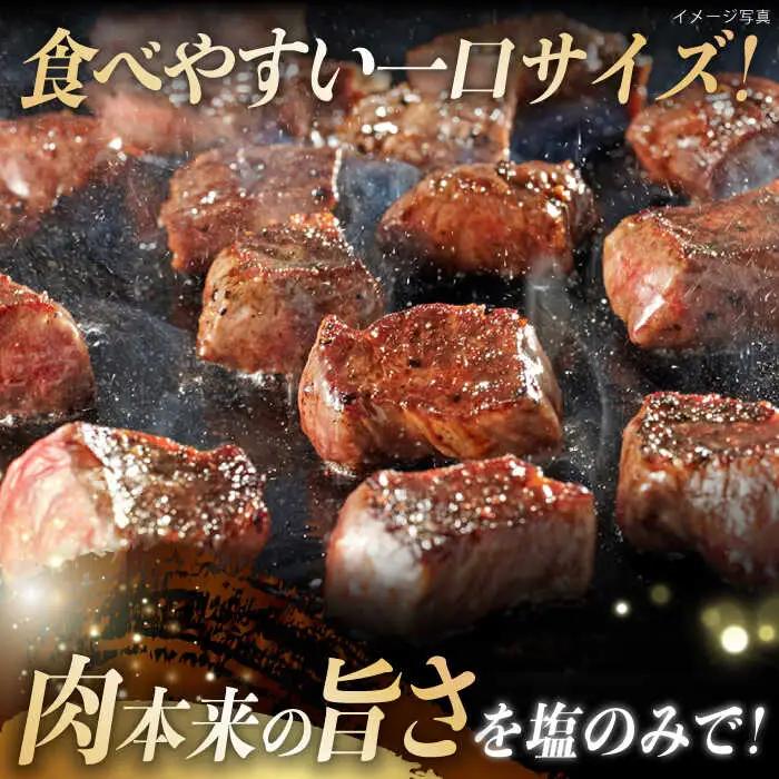 A5ランク サイコロステーキ 600g 150g×4P 長崎和牛 【肉のあいかわ】[NA38] サイコロ ステーキ サイコロステーキ