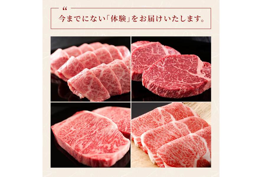 AI277 長崎和牛 一頭分買い 一括納品 [ 肉 和牛 牛肉 Giverichホールディングス 長崎県 島原市 ]