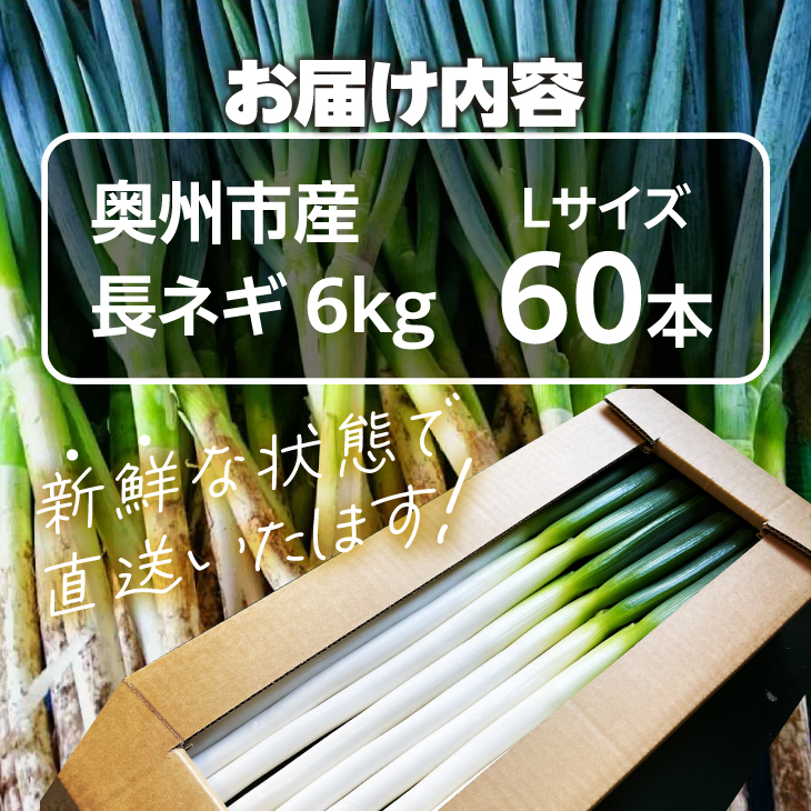 hugmiの長ねぎ 6kg (3kg×2個) Lサイズ 離島配送不可 [BJ011]