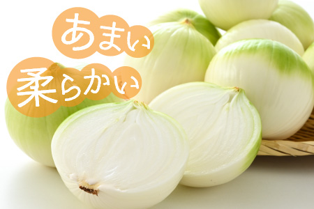 【先行予約】2024年6月発送  採れたて 新玉ねぎ 10kg（サイズ S M L ミックス）田んぼで育てた甘くて柔らか自慢の玉ねぎ！／ 常備 野菜 玉葱 たまねぎ