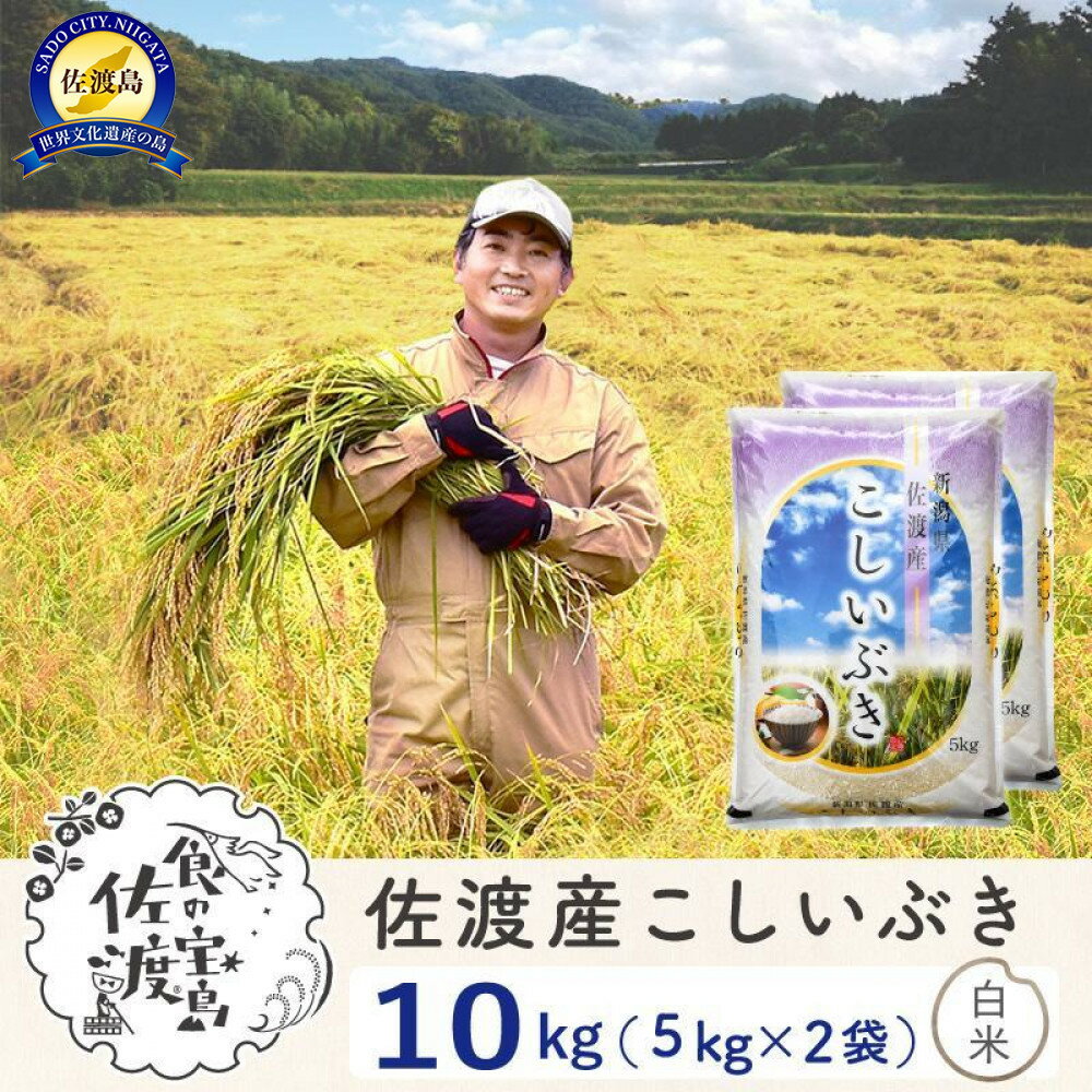 【ふるさと納税】佐渡島産こしいぶき 白米10Kg(5Kg×2袋） 令和7年 ～農薬5割減～ 農家直送 | お米 こめ 白米 食品 人気 おすすめ 送料無料