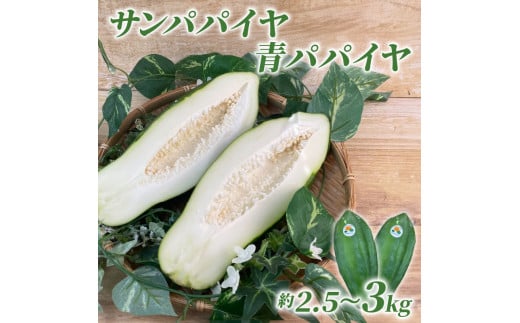 スーパー フード を 沼津市 からお届け！ サン パパイヤ 青 パパイヤ 約 2.5 kg ～ 3 kg 酵素 野菜 果物 フルーツ パパイア 料理 静岡県 沼津市