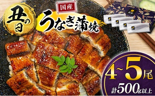 
                  《丑の日までにお届け》国産うなぎ！＜うなぎ 国産 うなぎ蒲焼 4～5尾 計500g以上＞ふるさと納税 うなぎ 高級 長蒲焼 鰻 夏バテ防止 ウナギ 鰻 かば焼き 蒲焼き 丑の日 タレ 宮崎県産 国産 九州産 宮崎県 高鍋町 送料無料【TVで話題沸騰！】
                