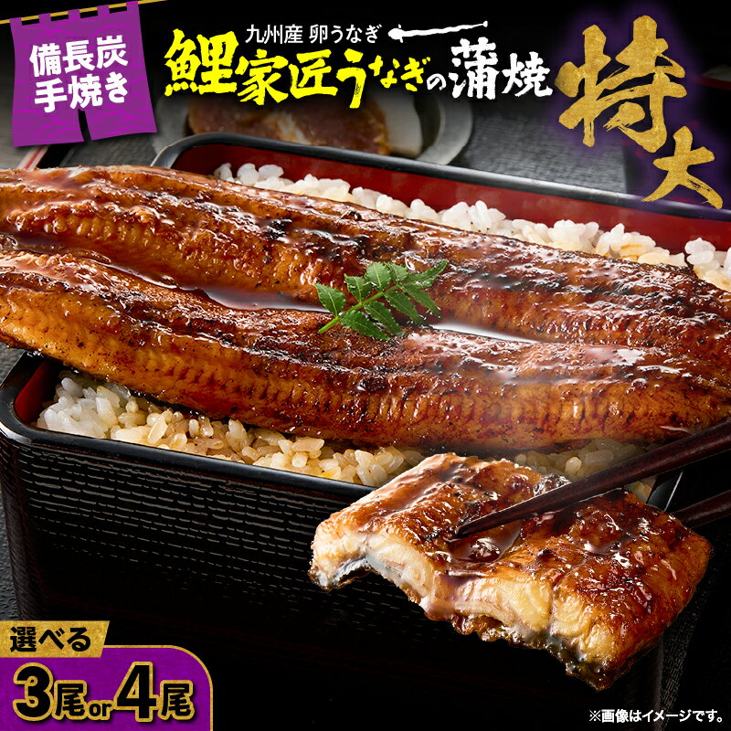 【ふるさと納税】【土用の丑の日特集】＜選べる＞九州産 卵うなぎ 備長炭手焼 『鯉家匠うなぎ』の蒲焼 特大 3尾 4尾 計660g 1000g うなぎ ウナギ 鰻 蒲焼 かば焼き タレ 惣菜 総菜 魚 鰻重 冷凍 国産 大隅うなぎ販売 鹿児島 鹿屋市 おすすめ ランキング プレゼント ギフト