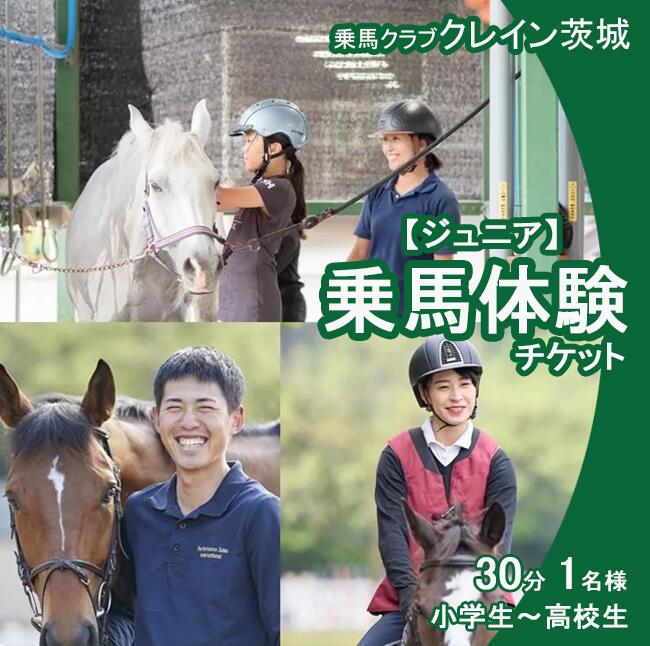 【ふるさと納税】乗馬クラブクレイン茨城 【ペア家族】乗馬体験チケット｜乗馬 乗馬クラブ 体験チケット 乗馬体験 ペア カップル 子ども 子供 キッズ 家族 ファミリー クレイン 夏休み 休日 GW 茨城県 つくば市