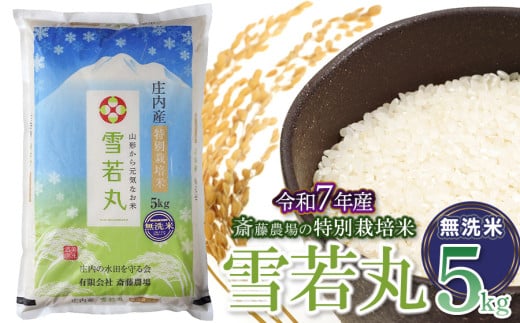 【令和7年産先行予約】 斎藤農場の特別栽培米 雪若丸 無洗米 5kg(5kg×1袋) 山形県鶴岡市 [K-756]