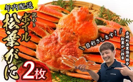 
                  【先行予約】（訳あり）松葉ガニ（ボイル）2枚【年内配送】※着日指定不可※北海道、沖縄、一部離島への配送不可【松葉がに 松葉蟹 ズワイガニ 蟹 カニ かに 国産 人気 おすすめ 鳥取県 琴浦町 送料無料】
                