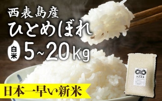 
                  ＜選べる容量＞令和8年産の新米ひとめぼれ(白米)5~20kg【米・白米・新米・ひとめぼれ】
                