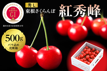 2026年 GI東根さくらんぼ「紅秀峰」500gバラ詰め 秀品 Lサイズ 東根農産センター提供 山形県 東根市 hi027-228（山形県 東根市 果物 フルーツ サクランボ さくらんぼ 紅秀峰 ジーアイ くだもの バラ詰め 期間限定 冷蔵配送 先行予約 令和8年産 取り寄せ グルメ ご当地 特産直送 送料無料 ふるさと納税）