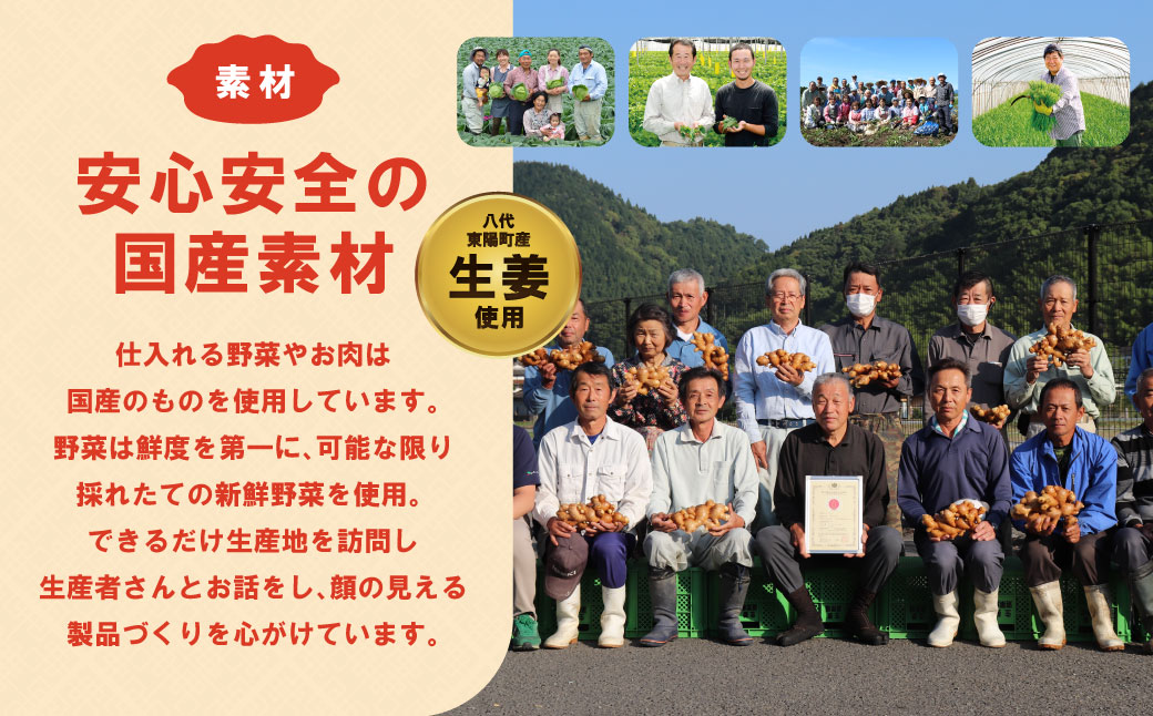 【順次発送】 八代市東陽町の生姜を使った 餃子の王国 餃子 8種詰合せ 生餃子