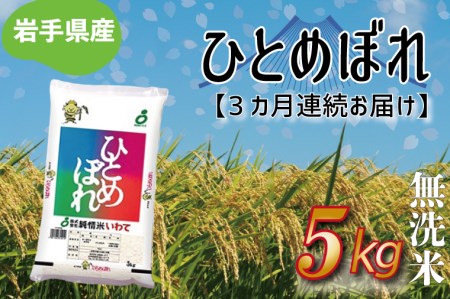 AE139　★令和5年産★【3ヶ月定期便】ひとめぼれ 5kg(無洗米)岩手県産