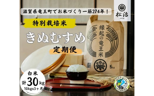  【 新米予約 】 定期便 3ヶ月 きぬむすめ 白米 10kg 縁起の竜王米  ( 令和6年産 先行予約 新米 白米 30kg 定期 3回 お米 定期便 おこめ ごはん 米 特別栽培米 ブランド米 ライス こだわり米 ギフト 国産 縁起の竜王米 滋賀県竜王町 )