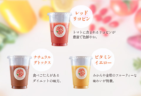 「定期便6か月コース」南国酵素スムージー　200ml×6本セット×6回