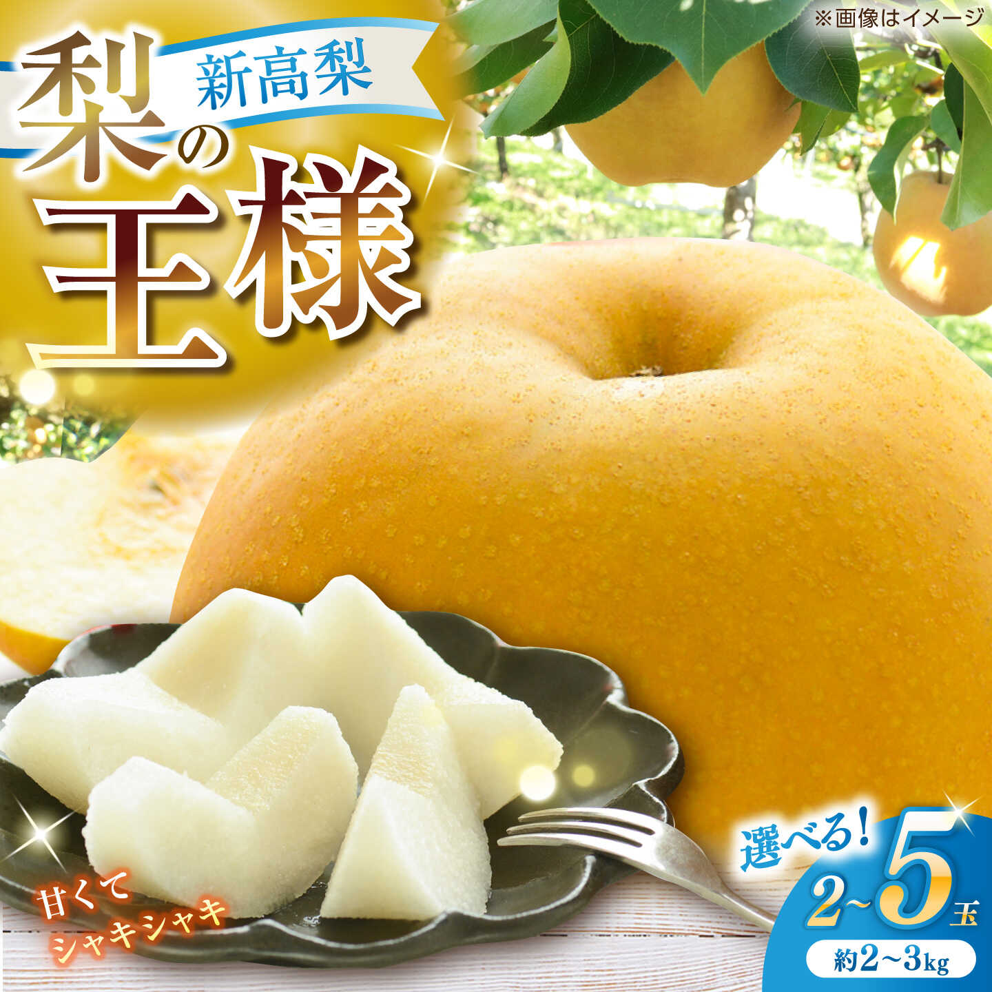 【ふるさと納税】 【先行予約・選べる内容量】新高梨 秀 2玉～5玉〈2026年9月20日〜10月末発送〉 / 高知県産 数量限定 針木 新高梨 梨 和梨 果物 フルーツ デザート 【川渕果樹園】[ATHX001]