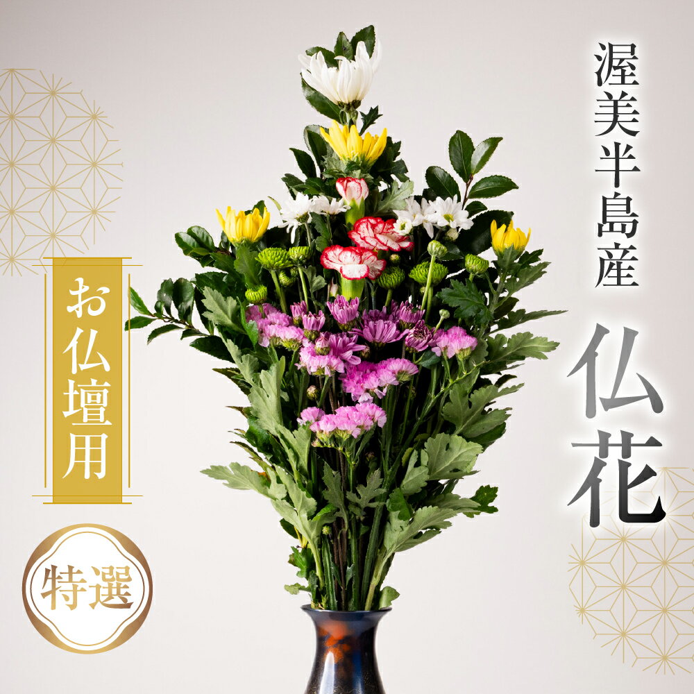 【ふるさと納税】産地直送 《お仏壇用》 仏花 特選 日時指定可 生産額 日本一 田原市 渥美半島 月命日 お彼岸 お盆 年末 鮮度 生花 お花 定期便