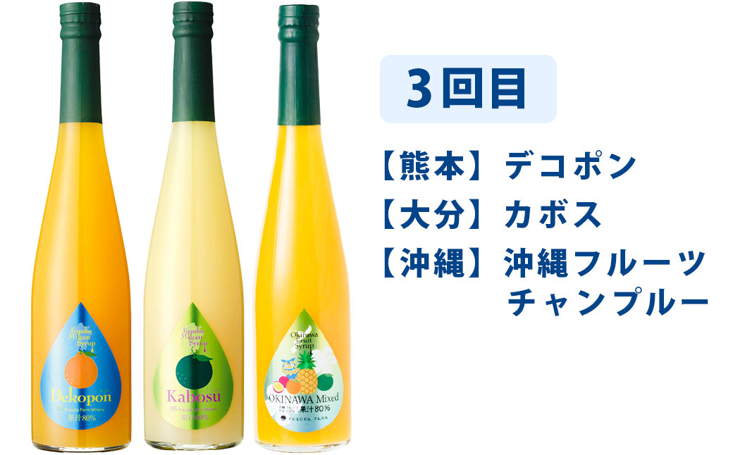 【3ヶ月定期便】九州を飲む！毎月届く九州果実シロップ飲み比べセット