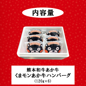 【三協畜産】熊本和牛 あか牛100% 牛肉 くまモン ハンバーグ 120g 6個 計720g あか牛 熊本県産 肥育 加工品 阿蘇 熊本 褐毛和種 褐牛 和牛 惣菜 おかず ご飯のお供 熊本名物 ご家