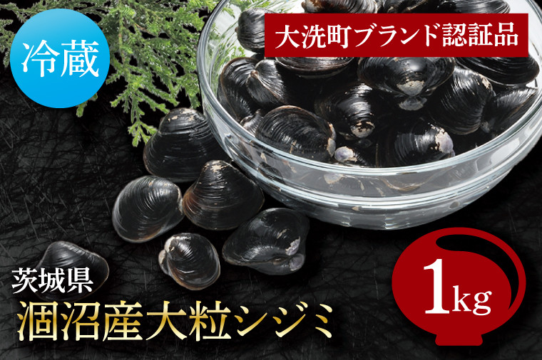 
涸沼産 大粒 シジミ 1kg しじみ 蜆 大和しじみ ヤマトシジミ 大玉 冷蔵 味噌汁 スープ 魚貝類 貝 オルニチン コハク酸 魚介類
