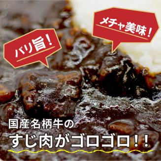 お肉屋さんの手作り「牛すじ黒カレー」（銘柄牛すじ使用）【2401I07304】