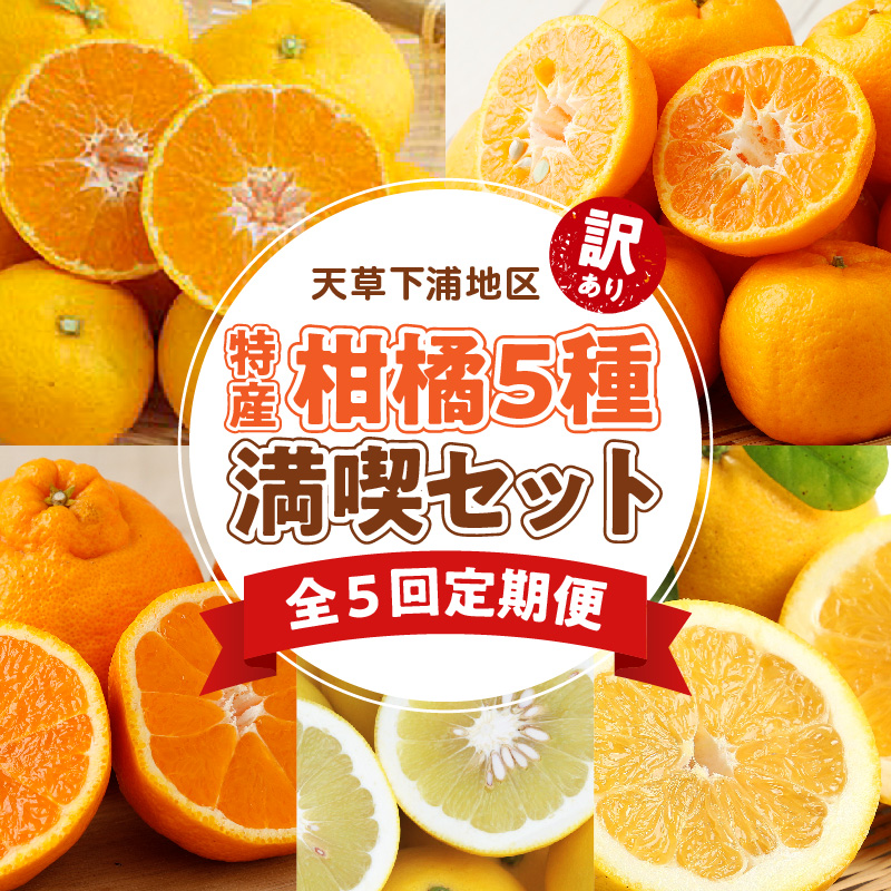 S040-T04_【定期便5回】天草 下浦地区特産の柑橘5種満喫セット(訳あり）【先行受付】