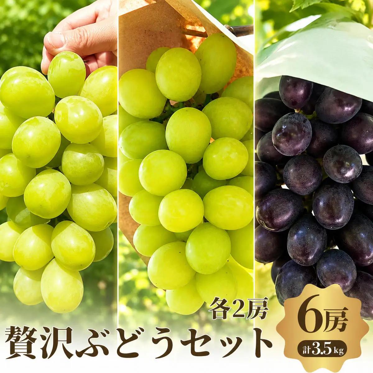 ぶどうセット 3種食べ比べ シャインマスカットマッターホルン ぶどうセット【6房3.5kg】【先行予約】
