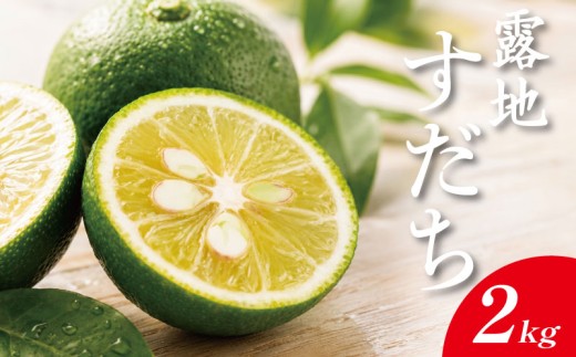 露地すだち 2kg すだち 【8月中旬から9月末発送】  徳島県産 スダチ 酢橘 ゆず レモン の代わりに 焼き魚 さんま かつお 刺身 唐揚げ そうめん お酒 に最適 徳島県 神山町
