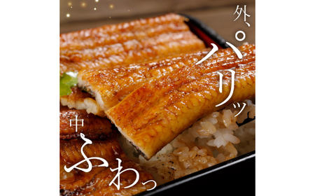 完全無投薬 仁淀川の伏流水で育てた贅沢うなぎ蒲焼き 大 (約200g×3尾) ギフトセット 池澤鮮魚 【池澤鮮魚オンラインショップ】[ATBE021]