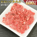 【ふるさと納税】おおいた豊美牛 切り落とし 600g 300g×2パック お肉 牛肉 和牛 とよみ牛 すき焼き しゃぶしゃぶ 肉じゃが 炒め物 冷凍 大分県産 九州産 国産 送料無料