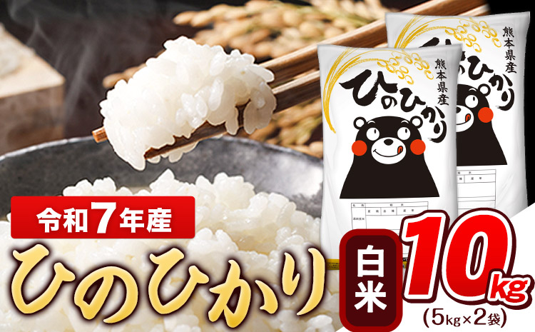 令和7年産 ひのひかり 白米 10kg (5kg×2袋)《7-14日以内に出荷予定(土日祝除く)》熊本県産 白米 精米 ひの 米 こめ ヒノヒカリ コメ お米 おこめ