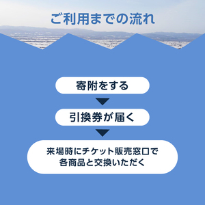 キャンモアスキービレッジ　小人＆シルバー１日券