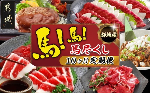 
                  都城産馬!馬!馬尽くし定期便(10ヵ月)_T80(10)-0101_(都城市) 定期便 馬刺しブロック ロース 赤身 タテガミ フタエゴ 馬ハンバーグ 馬生ハム 馬すじ煮込み 10ヵ月定期便
                