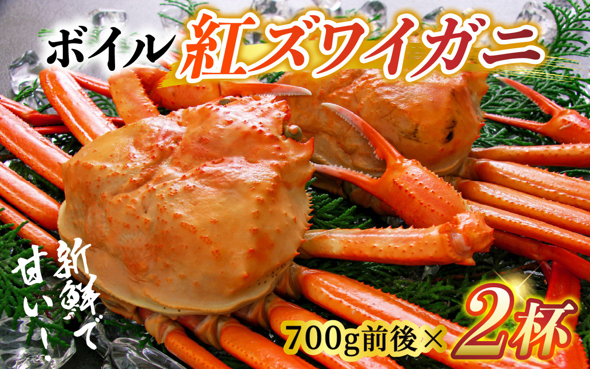 
                  【先行予約】【冷凍】ボイル紅ズワイガニ【大サイズ】【2026年10月以降順次発送】【(有)カネツル砂子商店】  [B-002007]　冷凍 紅ズワイガニ２杯700g前後×２杯  カニ   北陸 蟹 ずわい  茹で蟹 ボイル 富山 滑川 
                