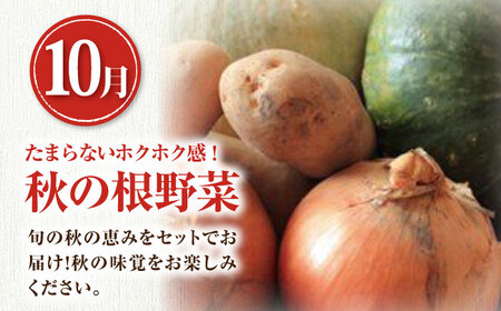 【全3回定期便】【8～10月限定】【ニセコ町産】旬の恵み 3品目 《喜茂別町》【ニセコビュープラザ直売会協同組合】 メロン とうもろこし じゃがいも かぼちゃ 夏野菜 秋野菜 季節の野菜 先行予約 [