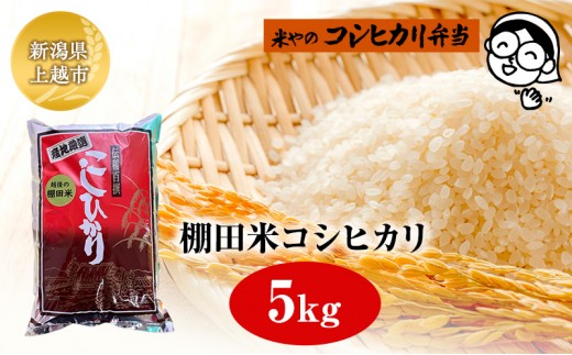 
                  棚田米コシヒカリ 5kg 上越市 精米 コメ 米 ブランド米 上越ベイコク
                